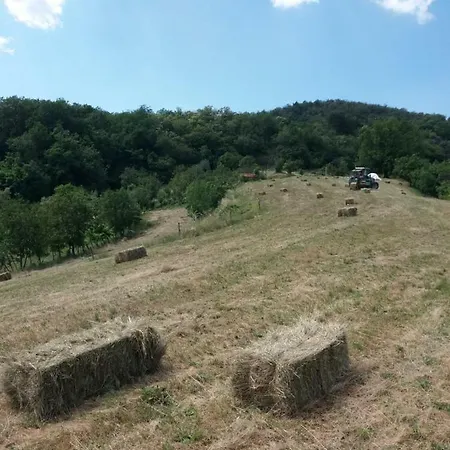 Çiftlik konaklama Ca Del Lupo *