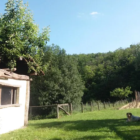 Κατάλυμα σε φάρμα Ca Del Lupo *