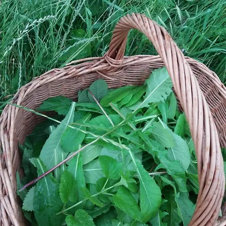 Ca Del Lupo Κατάλυμα σε φάρμα *