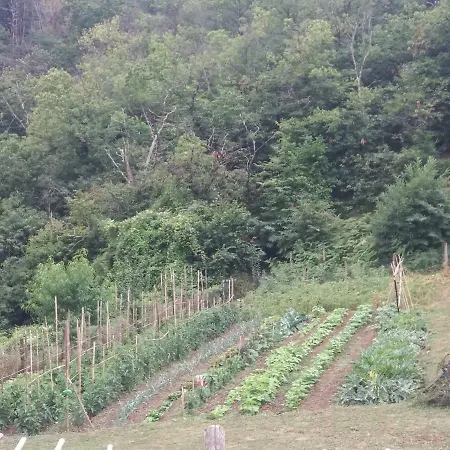 팜스테이 Ca Del Lupo