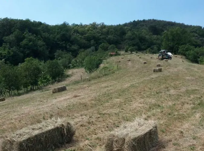 ファームステイ Ca Del Lupo *
