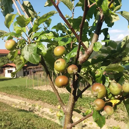 Ca Del Lupo Lantgård Pontremoli